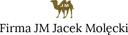 Logo Zabawki Bogucin